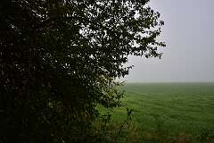 7: DSC_5804
