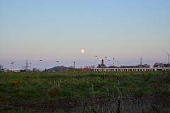 20: DSC_5819