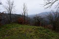 45: DSC_5897