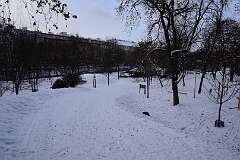 2: DSC_5916