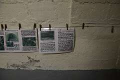 10: DSC_5927