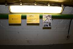 31: DSC_5955