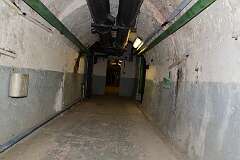 32: DSC_5956