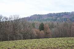 5: DSC_5987