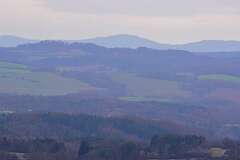 15: DSC_6000