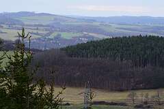 17: DSC_6002