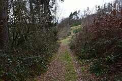 31: DSC_6017