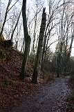 11: DSC_6066