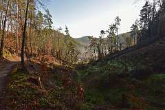 18: DSC_6076