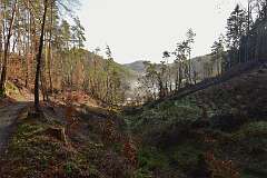 19: DSC_6077
