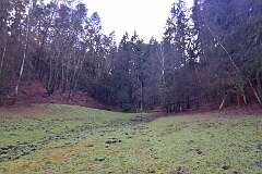 24: DSC_6085