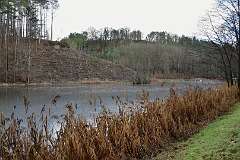 29: DSC_6092