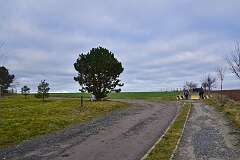 6: DSC_6301