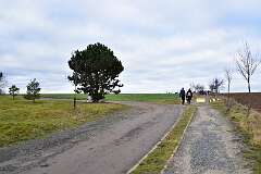 7: DSC_6303