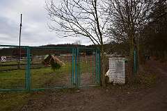 11: DSC_6315