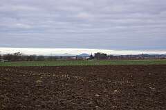 14: DSC_6318