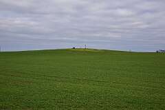 17: DSC_6322