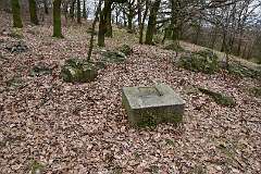 23: DSC_6330