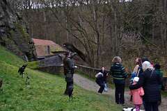 57: DSC_6371