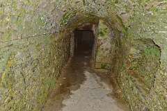 62: DSC_6382