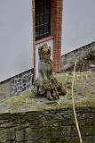 65: DSC_6387