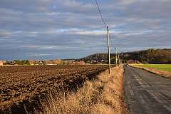 77: DSC_6399