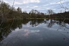84: DSC_6408