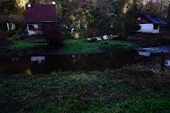 41: DSC_6455
