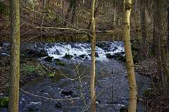57: DSC_6471