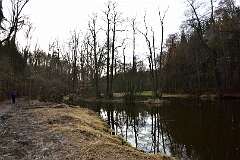 62: DSC_6476