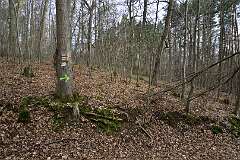 66: DSC_6481