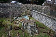 91: DSC_6506