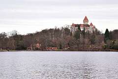 104: DSC_6519