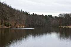 106: DSC_6521