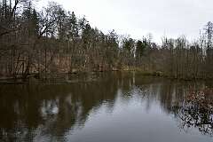 107: DSC_6522