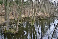 108: DSC_6523