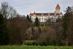 110: DSC_6525