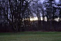 116: DSC_6532