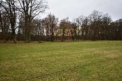 119: DSC_6535