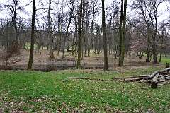 121: DSC_6537