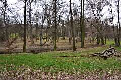 122: DSC_6538