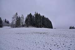 10: DSC_6590
