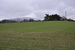 23: DSC_6603