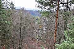 44: DSC_6629
