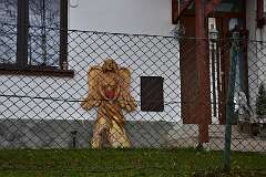 63: DSC_6654