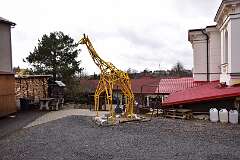 69: DSC_6660