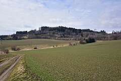 8: DSC_6671