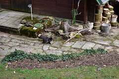 52: DSC_6717