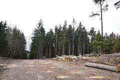 54: DSC_6719