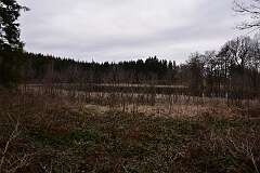61: DSC_6726